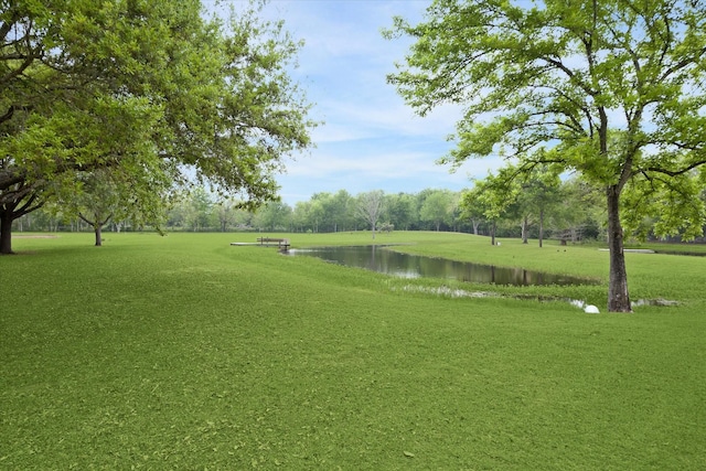 5350 Skinner Ln, Richmond, TX 77406 - photo 48