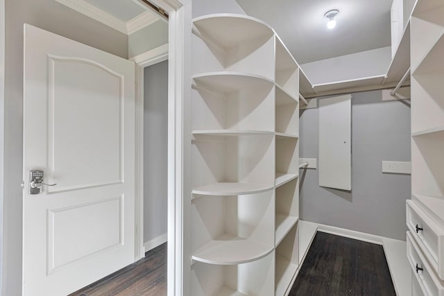 spacious closet with dark wood finished floors