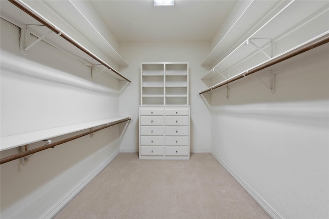 8802 Kennet Valley Rd, Spring, TX 77379 - spacious closet featuring light carpet