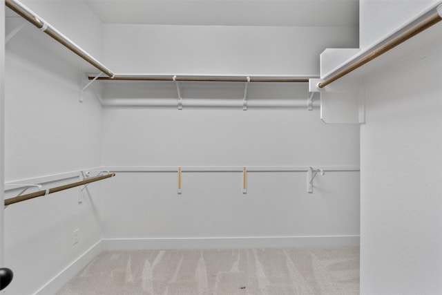 walk in closet with carpet flooring
