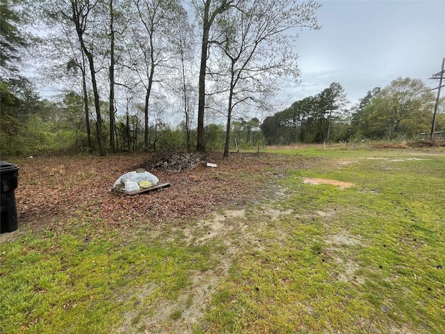 406 W Liberty Rd, Harleton, TX 75651 - view of yard