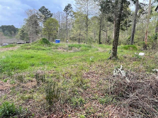 406 W Liberty Rd, Harleton, TX 75651 - view of yard