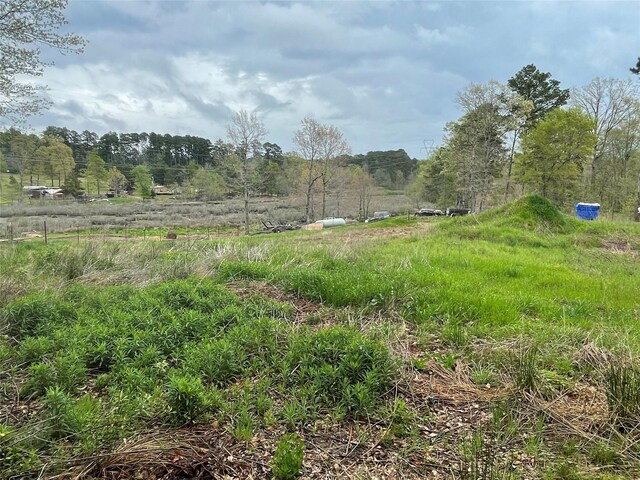 406 W Liberty Rd, Harleton, TX 75651 - view of yard