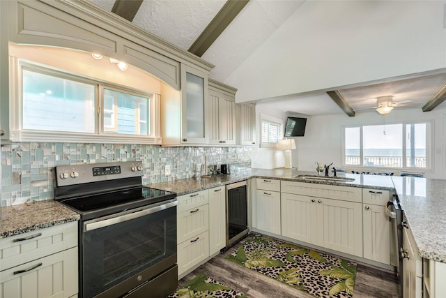kitchen featuring dark wood finished floors, appliances with stainless steel finishes, a sink, and backsplash