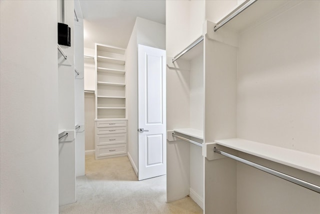 spacious closet with light colored carpet