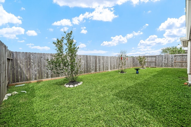 view of yard featuring a fenced backyard