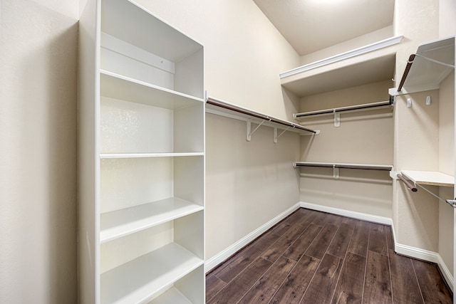 spacious closet featuring dark wood finished floors