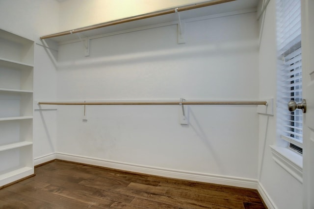 walk in closet with dark wood-style flooring
