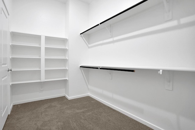 spacious closet featuring dark carpet