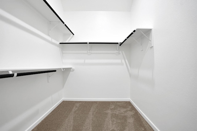 spacious closet with carpet floors