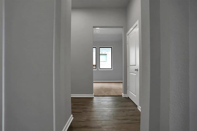 hallway featuring baseboards and dark wood-style floors