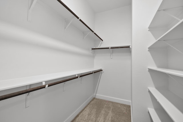 10723 Bridgeport Path Ct, Missouri City, TX 77459 - spacious closet with light carpet