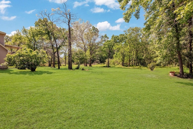 90 County Road 2852, Cleveland, TX 77327 - photo 44