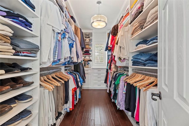 spacious closet featuring dark wood-type flooring