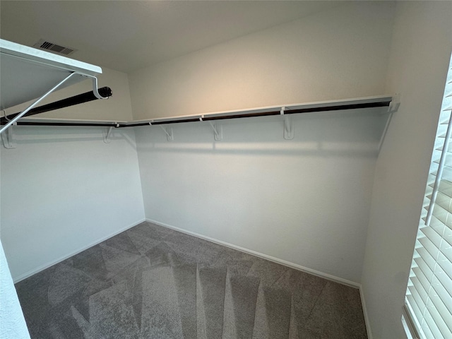 walk in closet with visible vents and carpet
