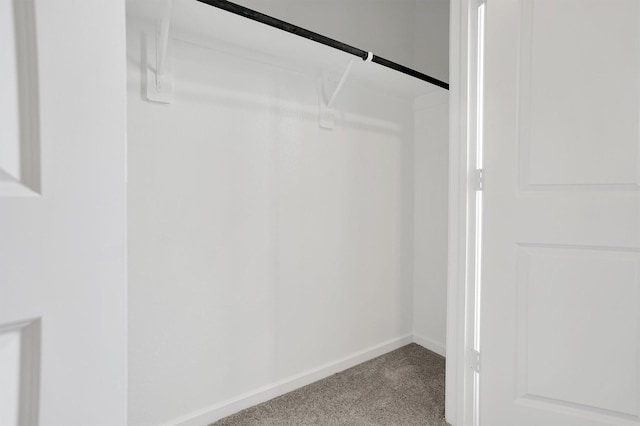 walk in closet featuring carpet