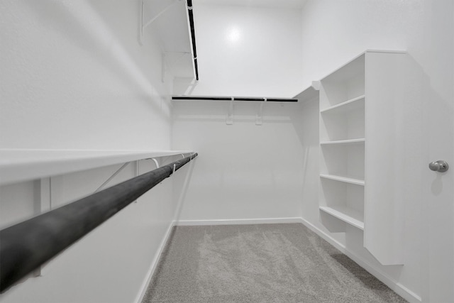 spacious closet featuring carpet flooring