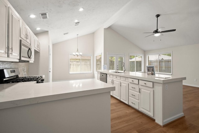 17311 Lowick St, Spring, TX 77379 - kitchen featuring appliances with stainless steel finishes, a sink, ceiling fan, light countertops, and vaulted ceiling