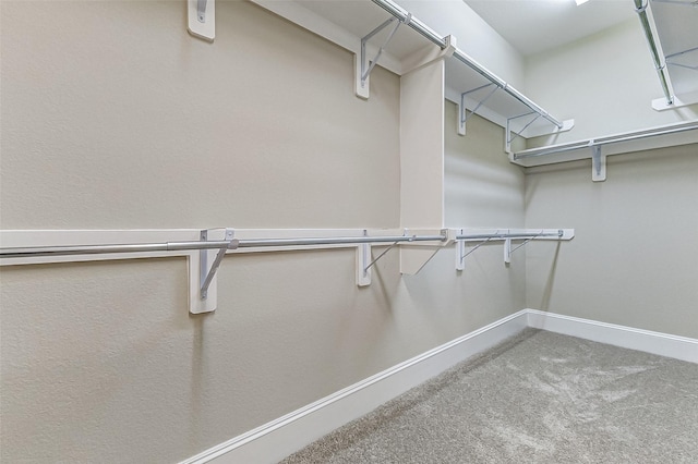 spacious closet with carpet
