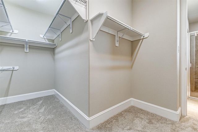 walk in closet featuring carpet floors