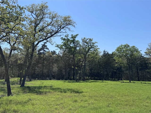 4655 Krischke, Schulenburg, TX 78956 - photo 2
