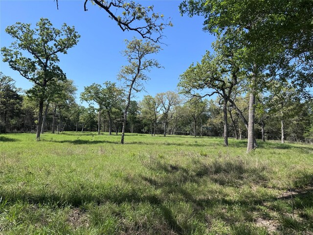 4655 Krischke, Schulenburg, TX 78956 - photo 8
