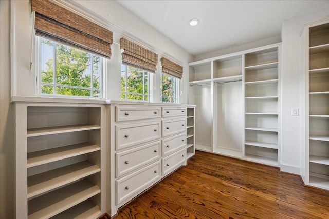 walk in closet featuring dark wood-style floors