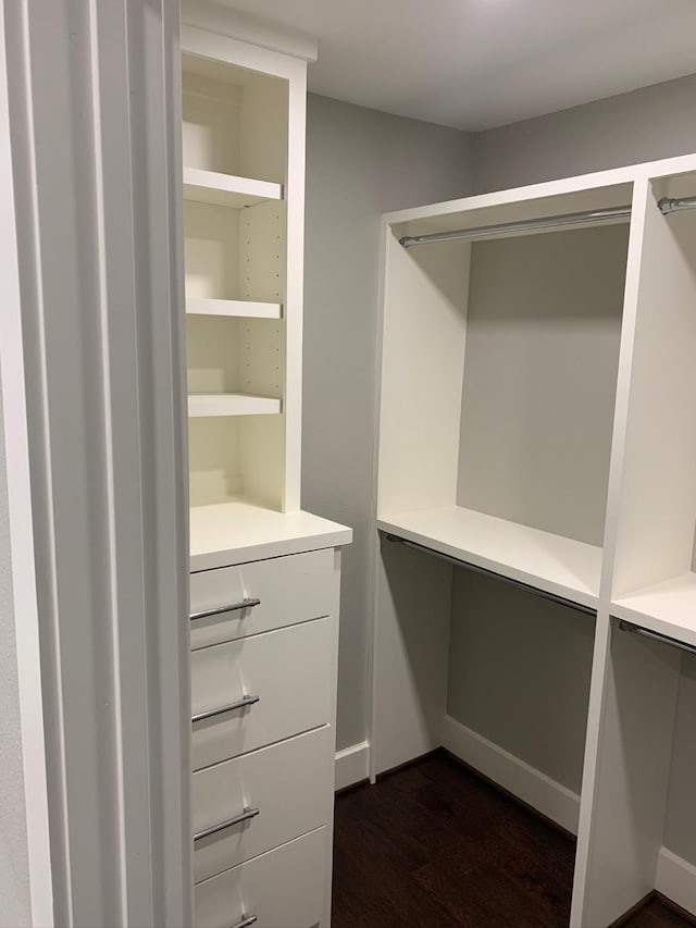 spacious closet featuring dark wood finished floors