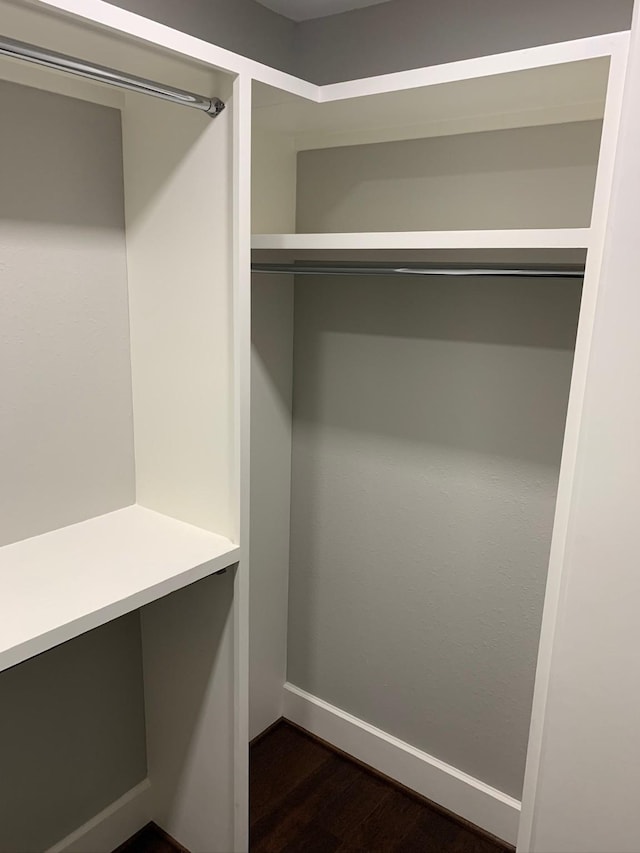 spacious closet with dark wood-type flooring