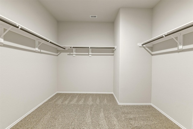 spacious closet featuring carpet