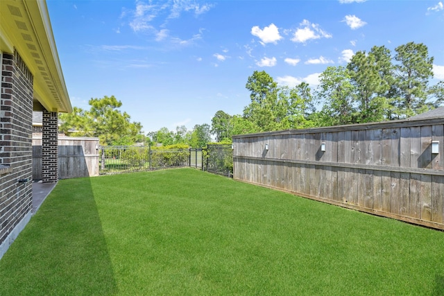 view of yard