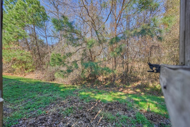 view of yard featuring a wooded view