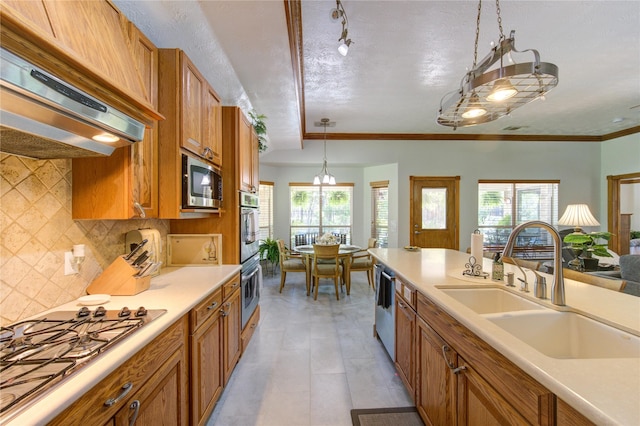 kitchen with stainless steel appliances, a wealth of natural light, a sink, and exhaust hood