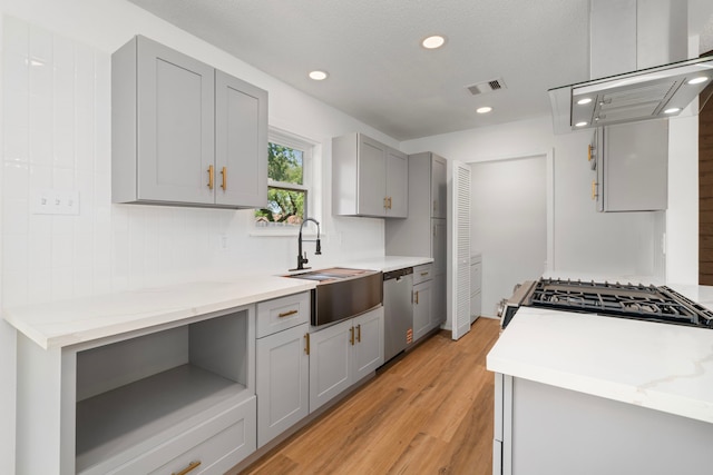 1802 Winston Homestead St, Richmond, TX 77406 - kitchen with light wood-style flooring, visible vents, gray cabinets, appliances with stainless steel finishes, and a sink