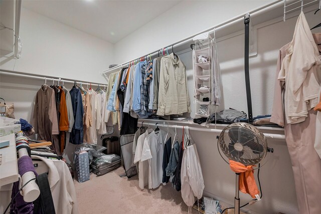 5819 Southern Rose Ln, Rosenberg, TX 77469 - spacious closet with carpet floors