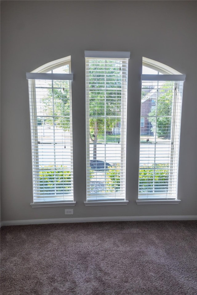 details featuring baseboards and carpet flooring