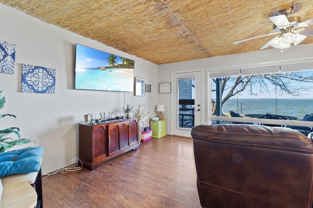 living room featuring a ceiling fan and wood finished floors