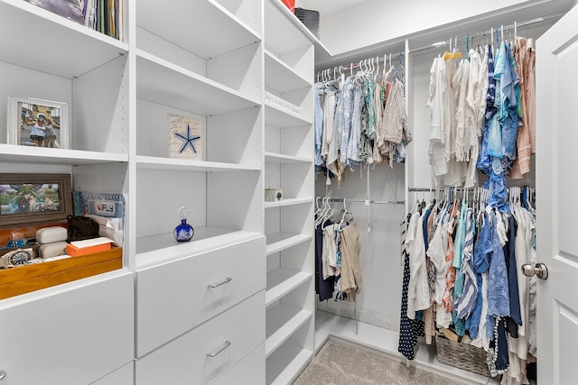 view of spacious closet