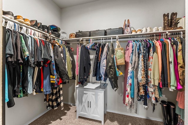 15038 Eastern Wood Rd, Magnolia, TX 77354 - spacious closet featuring carpet floors