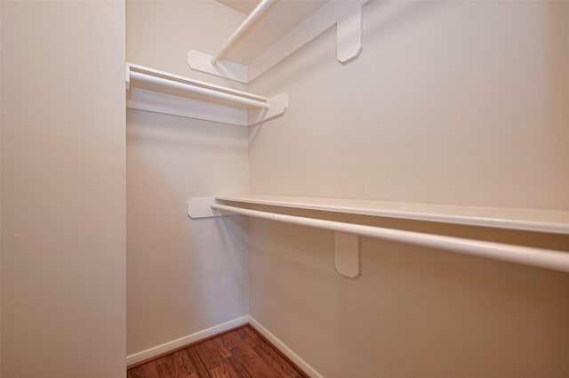 walk in closet featuring wood finished floors