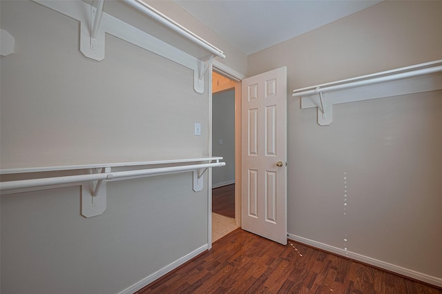 spacious closet featuring wood finished floors