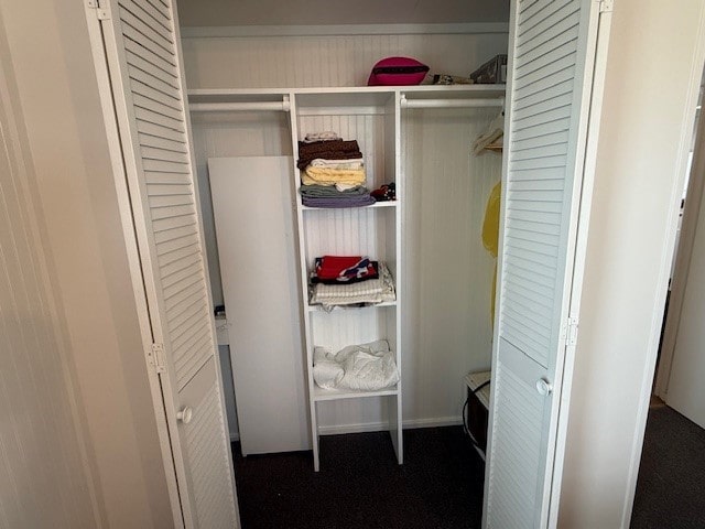 view of closet