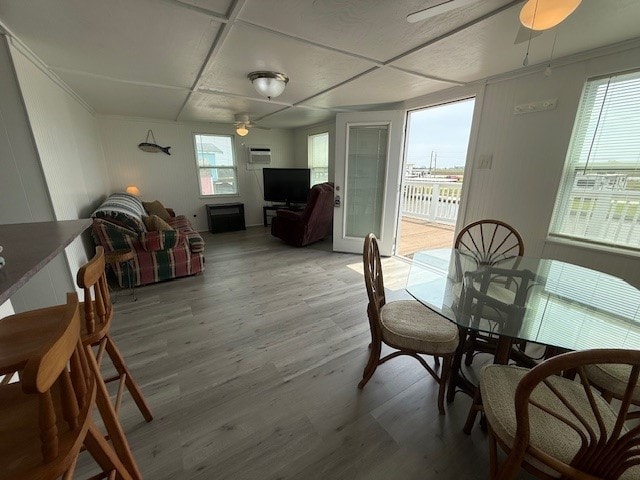 dining space with ceiling fan and light wood-type flooring