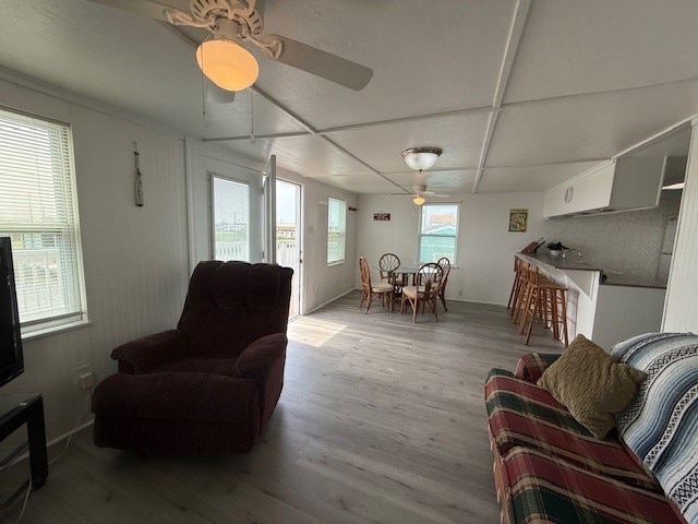 living area with baseboards, coffered ceiling, ceiling fan, and wood finished floors