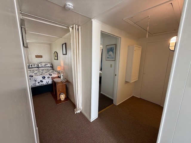 hallway featuring carpet flooring and attic access