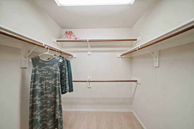spacious closet featuring carpet floors