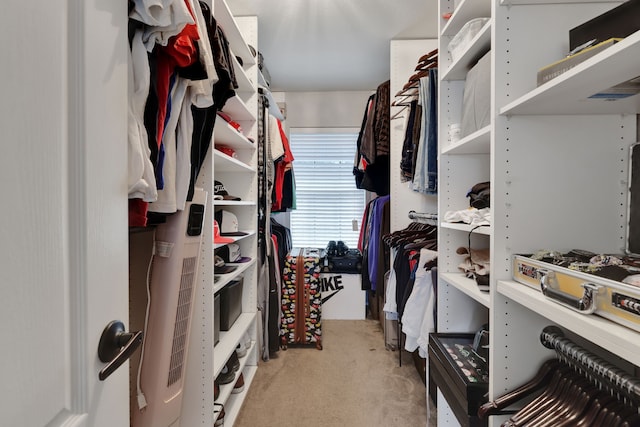 8319 Lemongrass Ave, Baytown, TX 77521 - spacious closet featuring light carpet