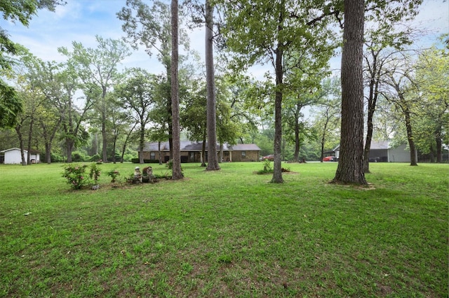 28536 Fm 2978th Rd, Magnolia, TX 77354 - photo 3