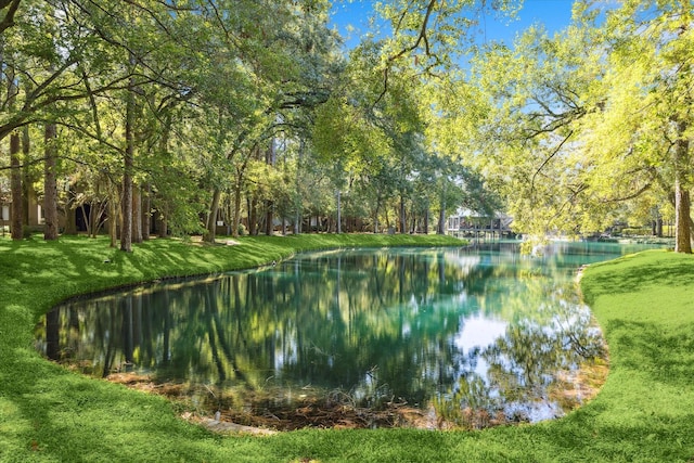 53 Litchfield Ln, Houston, TX 77024 - water view