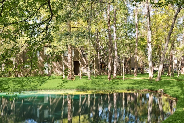 53 Litchfield Ln, Houston, TX 77024 - water view